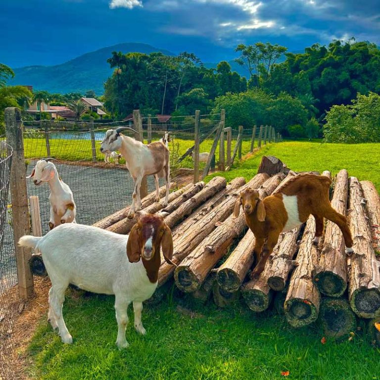 galeria-03-hospedagem-zilz