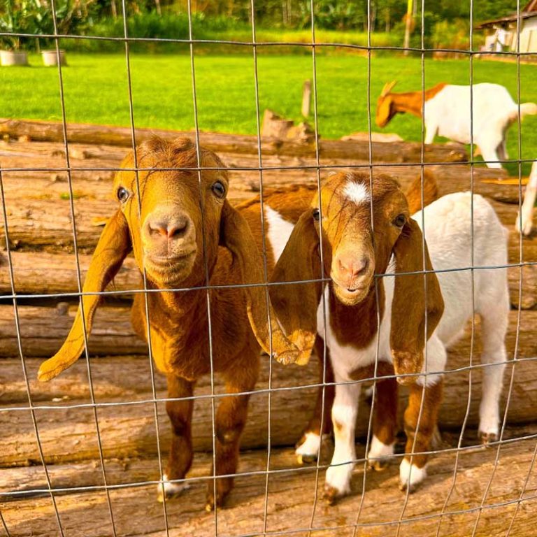 galeria-07-hospedagem-zilz