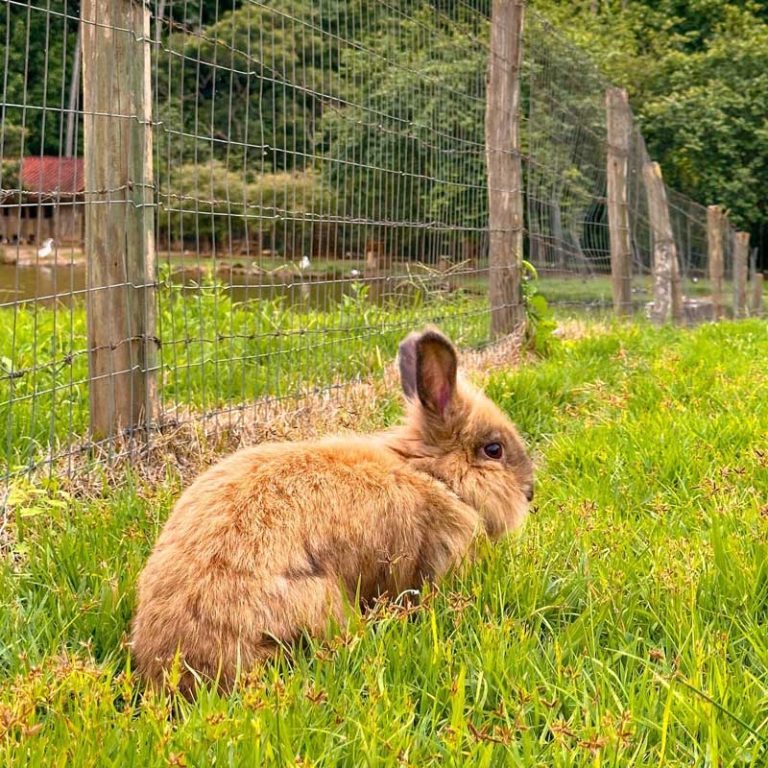 galeria-08-hospedagem-zilz