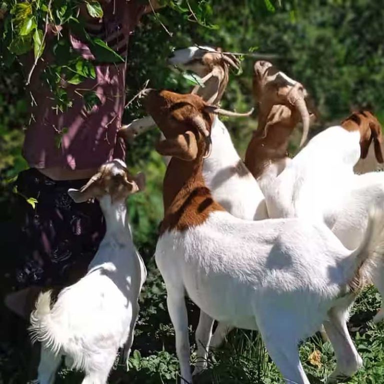 galeria-10-hospedagem-zilz