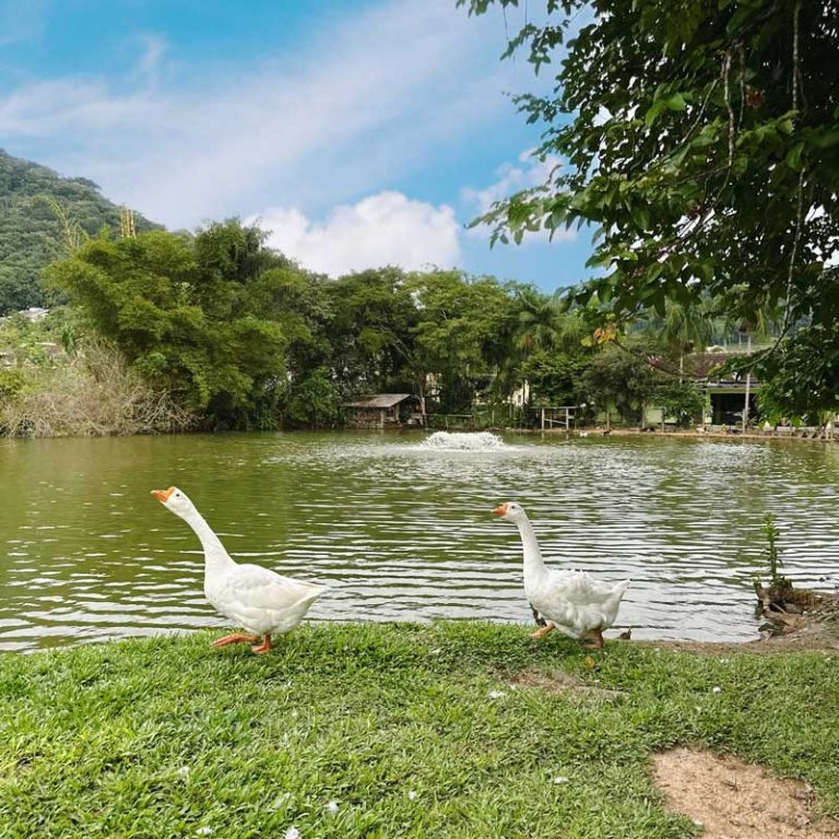 galeria-12-hospedagem-zilz