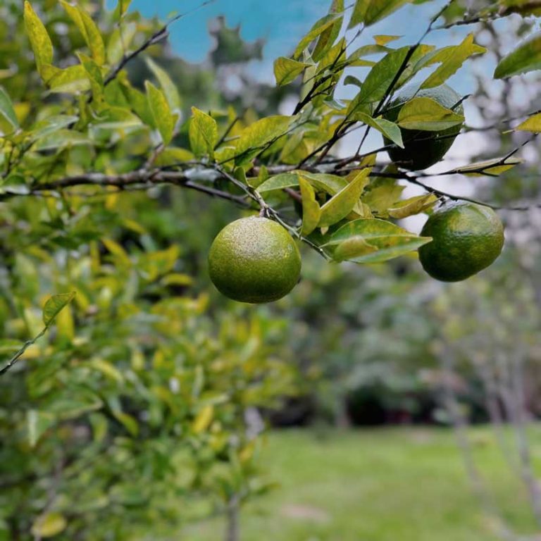 galeria-13-hospedagem-zilz