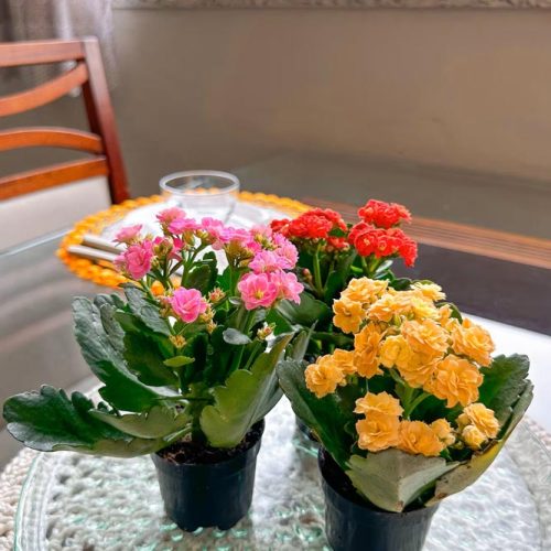 apto2-img11-hospedagem-zilz